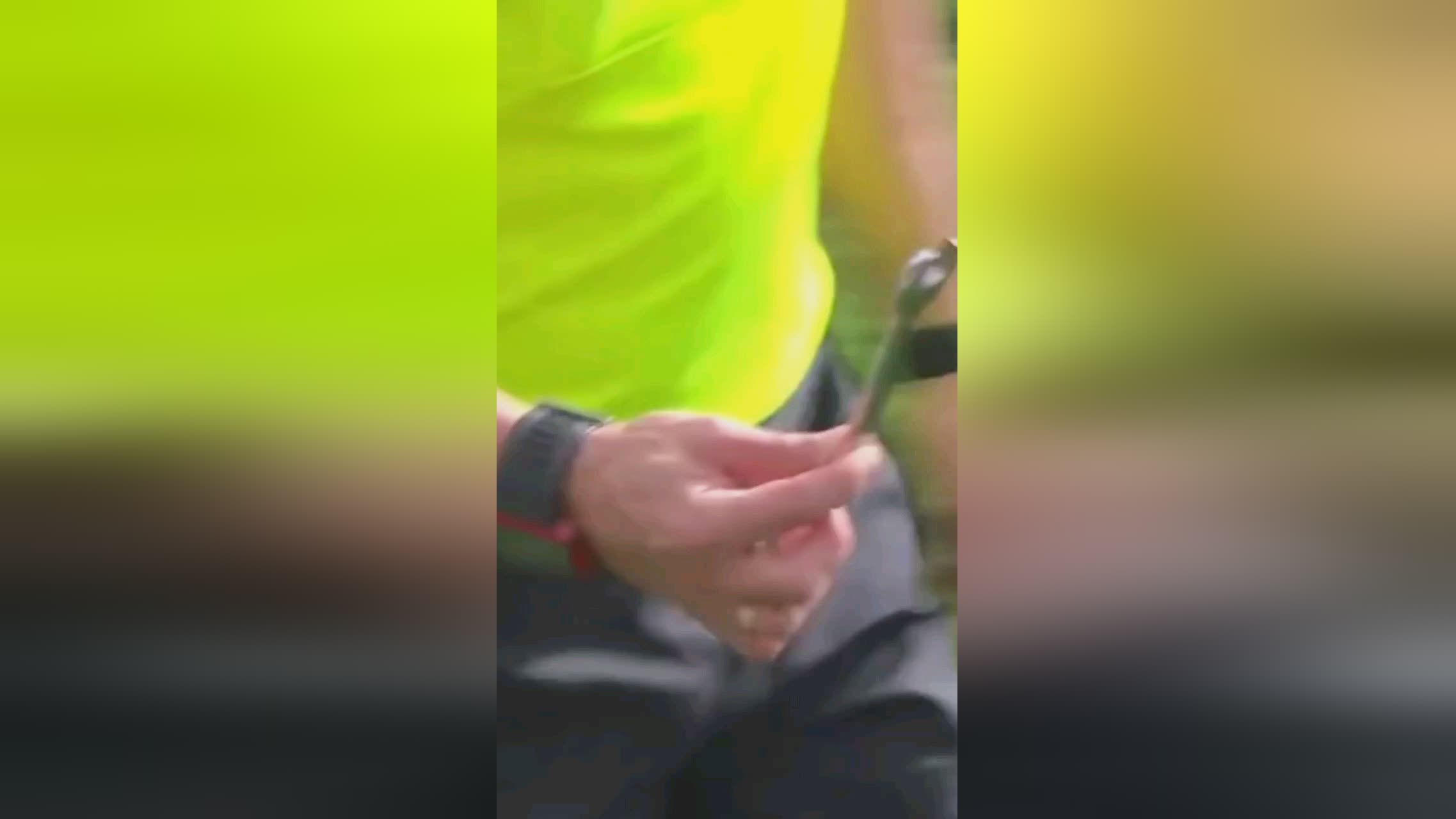 次逆